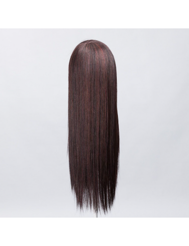 Perruque synthétique LOOK aubergine mix ELLEN WILLE