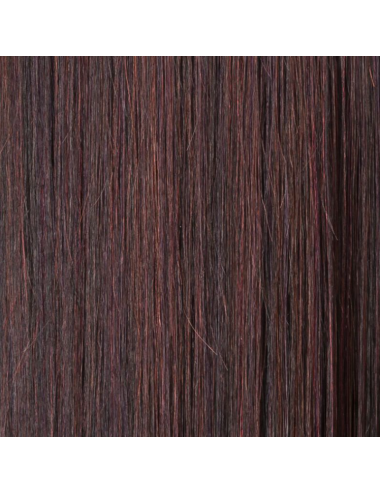 Perruque synthétique LOOK aubergine mix ELLEN WILLE