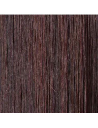 Perruque synthétique LOOK aubergine mix ELLEN WILLE