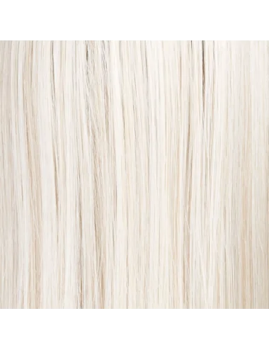 Perruque synthétique LOOK champagne rooted ELLEN WILLE
