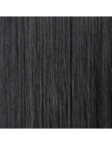 Perruque synthétique LOOK black ELLEN WILLE