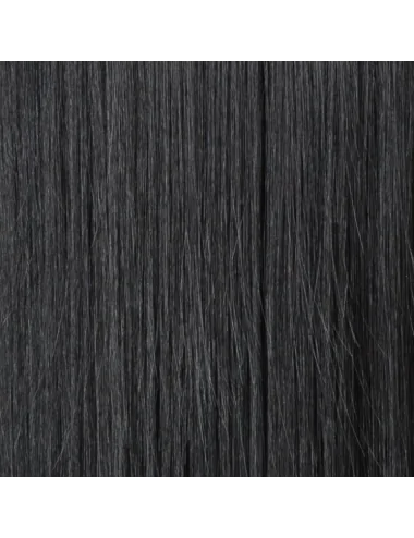 Perruque synthétique LOOK black ELLEN WILLE