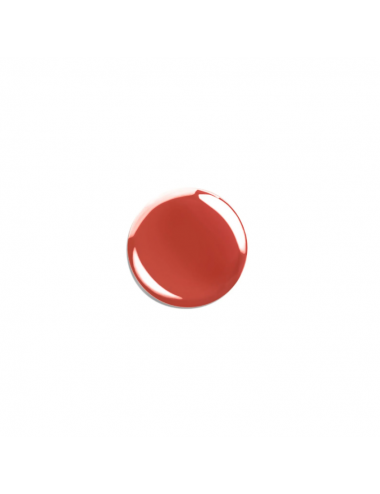 Vernis Silicium Brique 27 10 ml Même Cosmetics - Oncologia