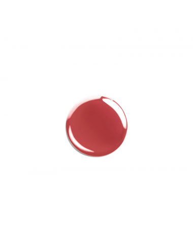 Vernis Silicium Vigne rouge 28 10ml Même Cosmetics - Oncologia