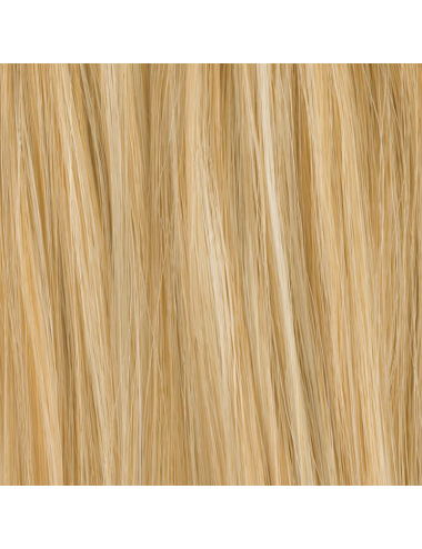 Volumateur Cidre Champagne mix Ellen Wille - Oncologia