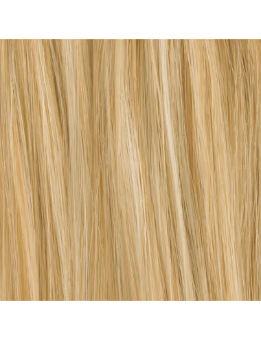 Volumateur Cidre Champagne mix Ellen Wille - Oncologia