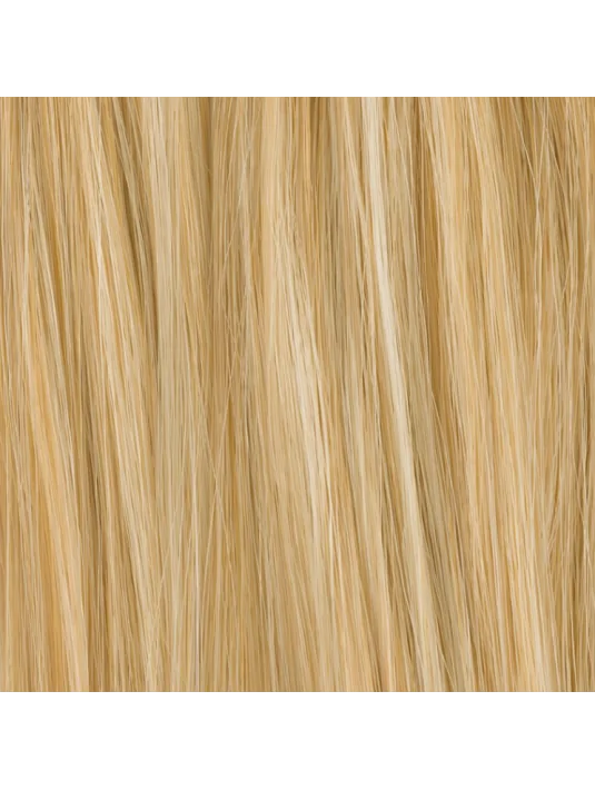 Volumateur Cidre Champagne mix Ellen Wille - Oncologia Volumateur Cidre Champagne mix Ellen Wille - Oncologia