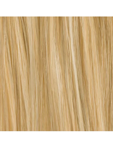 Volumateur Stevia Champagne mix Ellen Wille - Oncologia