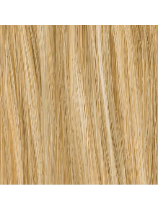 Volumateur Stevia Champagne mix Ellen Wille - Oncologia Volumateur Stevia Champagne mix Ellen Wille - Oncologia