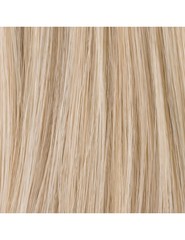 Volumateur Stevia Lightchampagne mix Ellen Wille - Oncologia