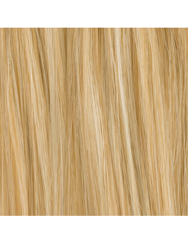 Extension queue de cheval Aqua Champagne mix  Ellen Wille - Oncologia