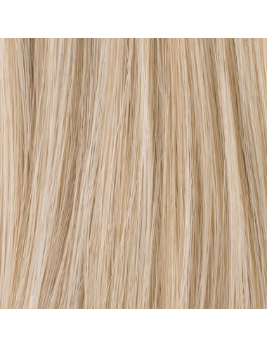 Extension queue de cheval Aqua Lightchampagne mix Ellen Wille - Oncologia