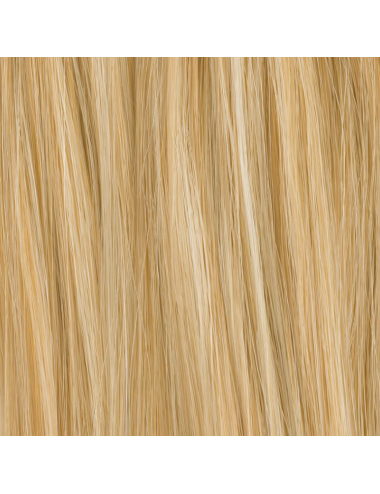 Extension de chignon Cava Champagne mix Ellen Wille - Oncologia