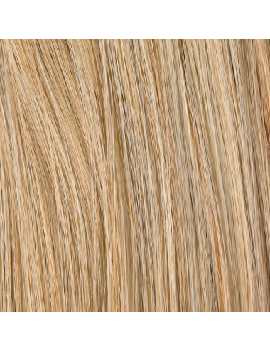 Extension queue de cheval Champagne Sandyblonde mix Ellen Wille - Oncologia