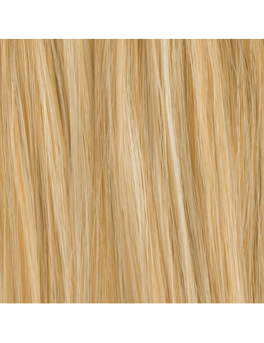 Extension queue de cheval Champagne Champagne mix Ellen Wille - Oncologia