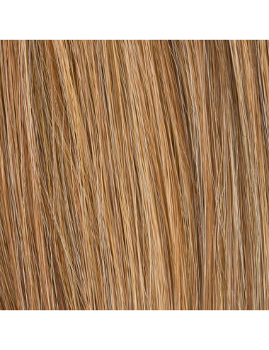 Extension queue de cheval Frappe Gingerblonde mix Ellen Wille - Oncologia