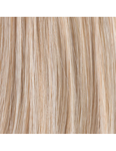 Extension queue de cheval Frappe Champagne mix Ellen Wille - Oncologia