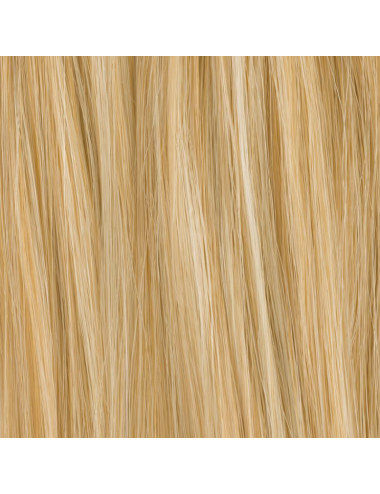 Extension queue de cheval Frappe Nougat mix Ellen Wille - Oncologia