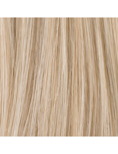 Extension queue de cheval Frappe Lightchampagne mix Ellen Wille - Oncologia