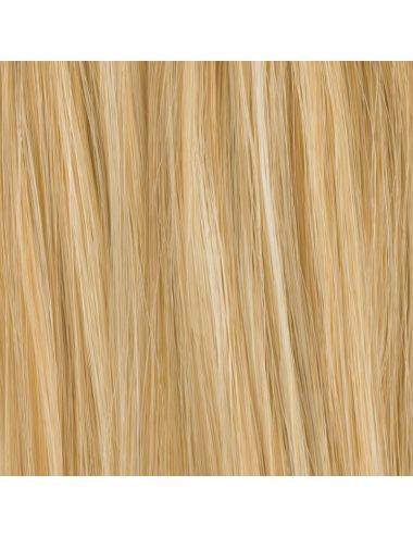 Extension queue de cheval Frizzante Champagne mix Ellen Wille - Oncologia