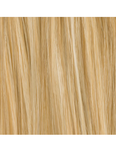 Extension de chignon Gin Sahara beige mix Ellen Wille - Oncologia
