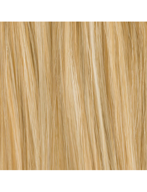 Extension de chignon Gin Sahara beige mix Ellen Wille - Oncologia
