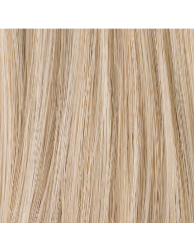 Extension de chignon Gin Lightchampagne mix Ellen Wille - Oncologia