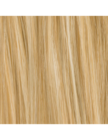 Extension de chignon Ice Champagne mix Ellen Wille - Oncologia