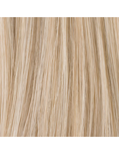 Extension de chignon Ice Lightchampagne rooted Ellen Wille - Oncologia