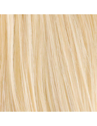 Extension queue de cheval Sangria Pastelblonde mix Ellen Wille