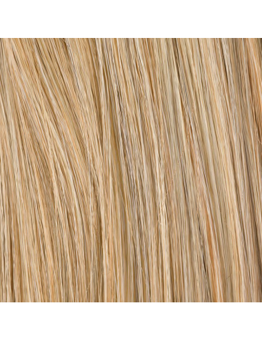 Extension queue de cheval Shake Sandyblonde rooted Ellen Wille