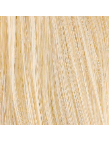 Extension queue de cheval Shake Pastelblonde mix Ellen Wille