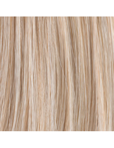 Extension queue de cheval Tonic Pearlblonde mix Ellen Wille