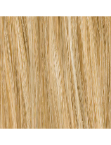 Extension de chignon Sherry Champagne mix Ellen Wille