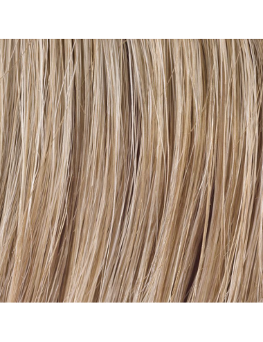 Extension de chignon Sherry Pearl mix Ellen Wille