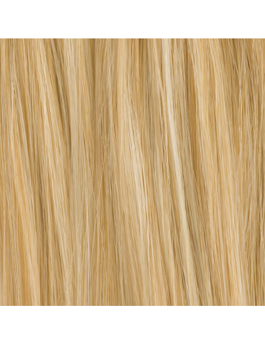 Extension queue de cheval Tropical Champagne mix Ellen Wille