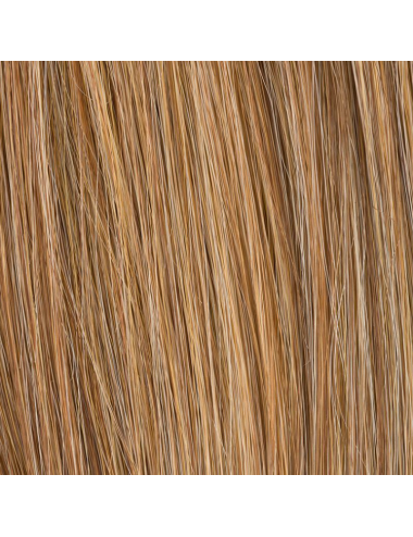 Extension queue de cheval Wine Gingerblonde mix Ellen Wille
