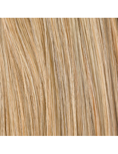 Extension queue de cheval Wine Sandyblonde mix Ellen Wille