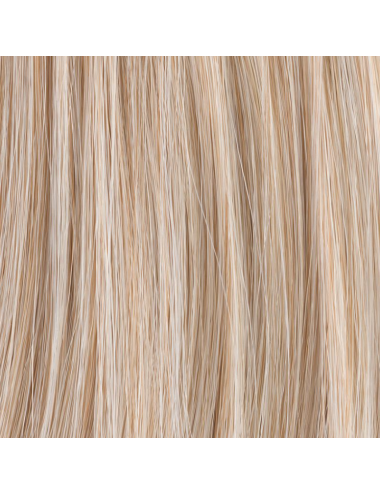 Extension queue de cheval Wine Pearlblonde mix Ellen Wille
