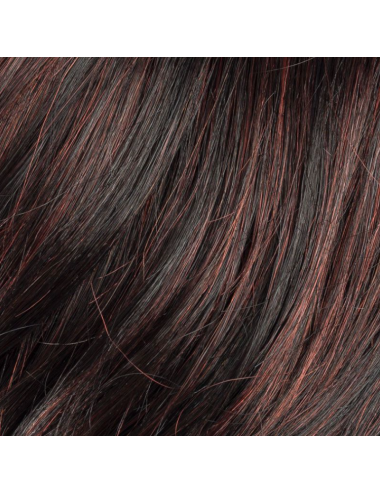 Perruque synthétique Destiny Mono Part Blackberry mix Hairpower Ellen Wille
