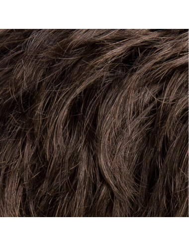 Perruque synthétique Foxy Salt pepper mix Hairpower Ellen Wille