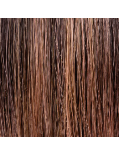 Perruque synthétique Fantasy Deluxe Rosewood Tipped Hair Society Ellen Wille Perruque synthétique Fantasy Deluxe Rosewood Tipped Hair Society Ellen Wille