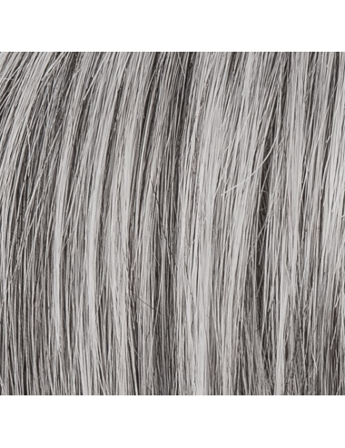 Perruque synthétique Miss Comfort Salt Pepper Frosted Hair Society Ellen Wille