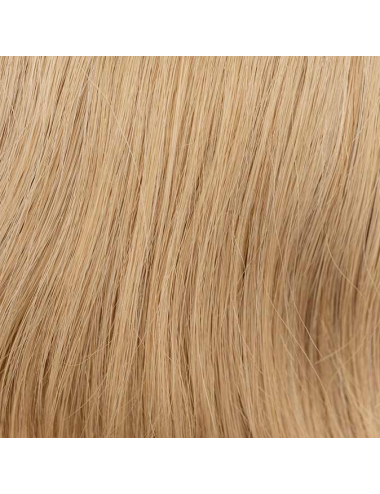 Couronne de cheveux Champagne mix Verbena - Ellen Wille