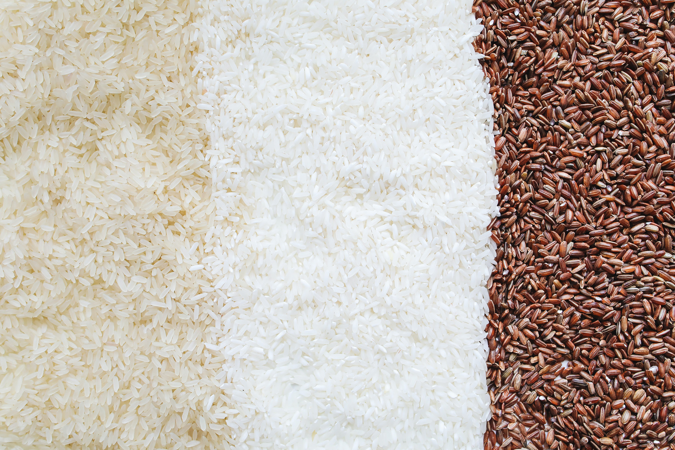 Variété de riz